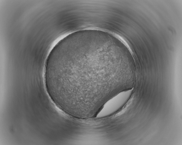 X0000115131149200911101642