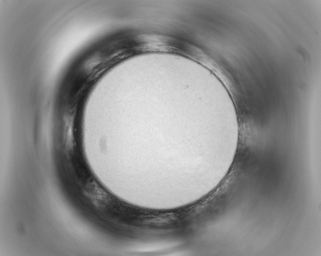 X0000115131150200911101642