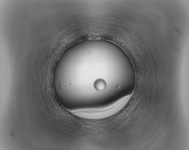 X0000115131153200911101641