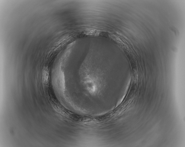 X0000115131154200911101641