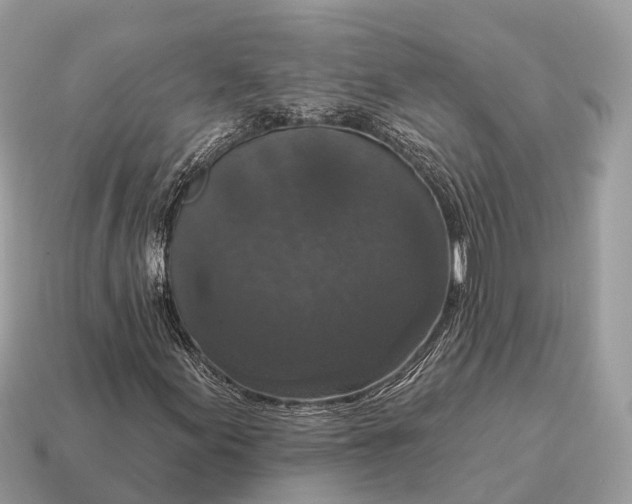 X0000115131155200911101641
