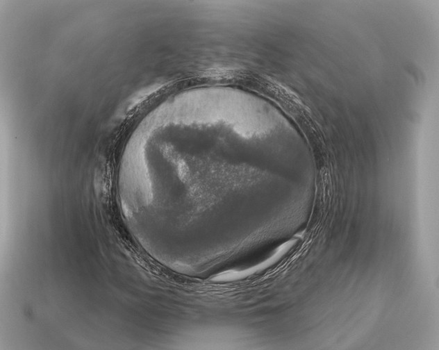 X0000115131158200911101641