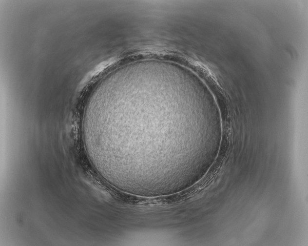 X0000115131159200911101641
