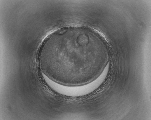 X0000115131160200911101641