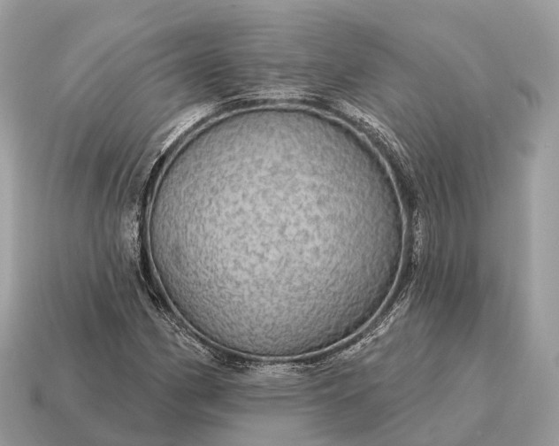 X0000115131162200911101641
