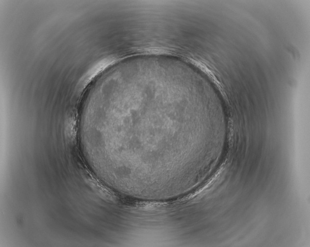 X0000115131163200911101641