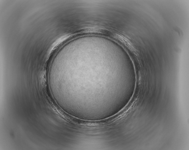 X0000115131164200911101641