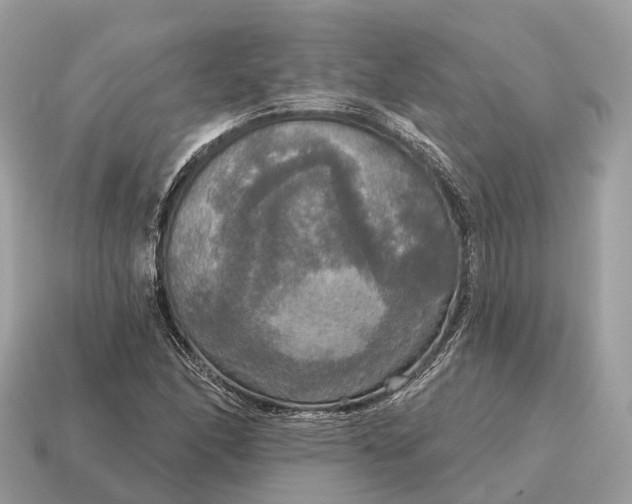 X0000115131166200911101641
