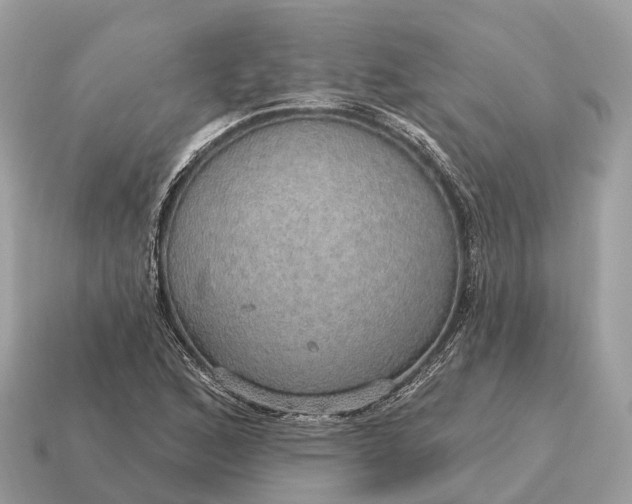 X0000115131168200911101641