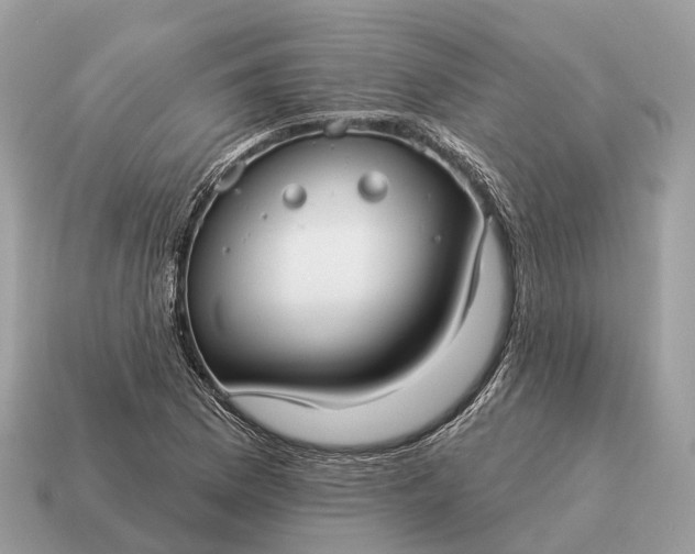 X0000115131169200911101641