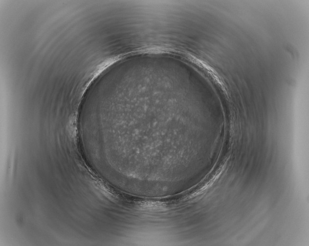 X0000115131170200911101641