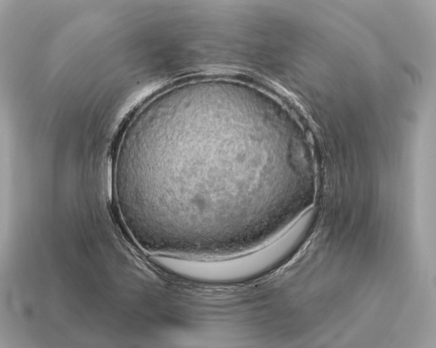 X0000115131171200911101641
