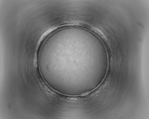 X0000115131172200911101641