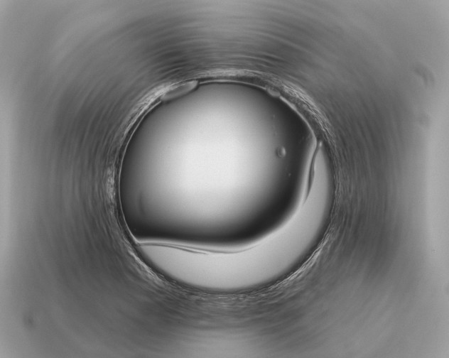 X0000115131177200911101641