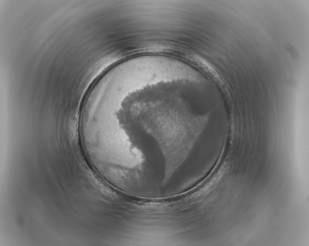 X0000115131178200911101641