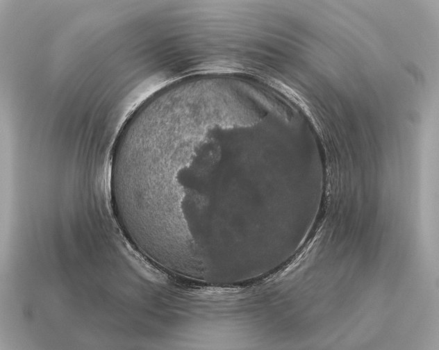 X0000115131179200911101641