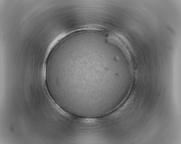 X0000115131180200911101641