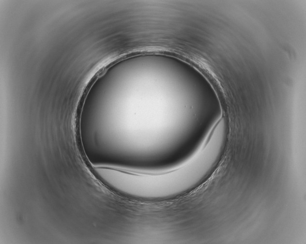 X0000115131181200911101641