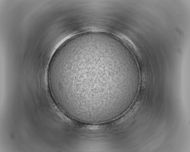 X0000115131182200911101641