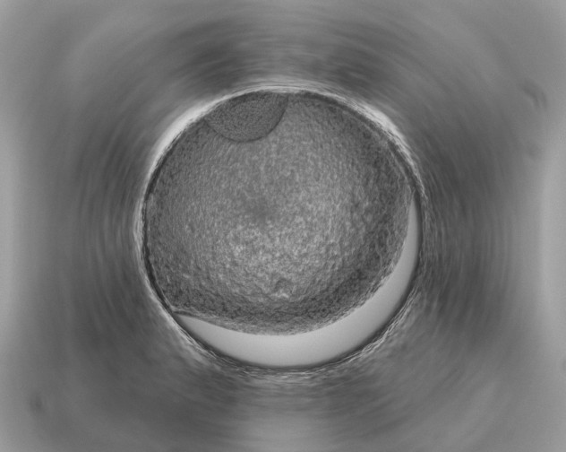 X0000115131183200911101641