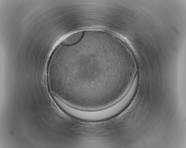 X0000115131184200911101641
