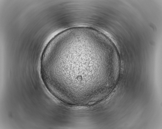X0000115131187200911101641