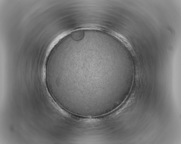 X0000115131188200911101641