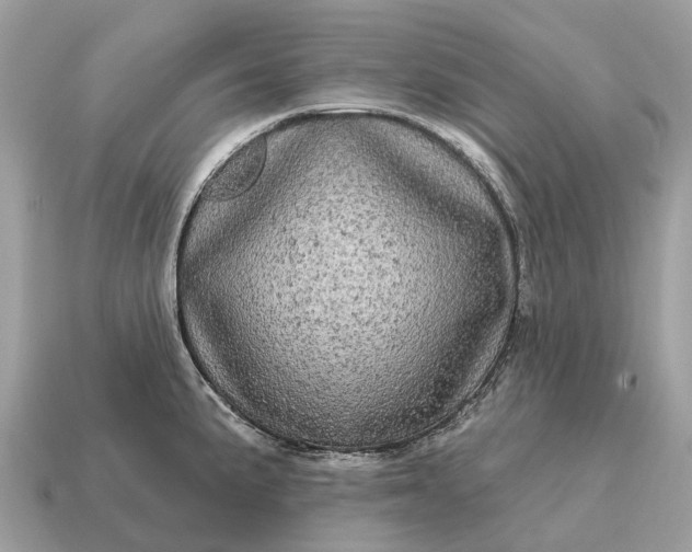 X0000115131191200911101640