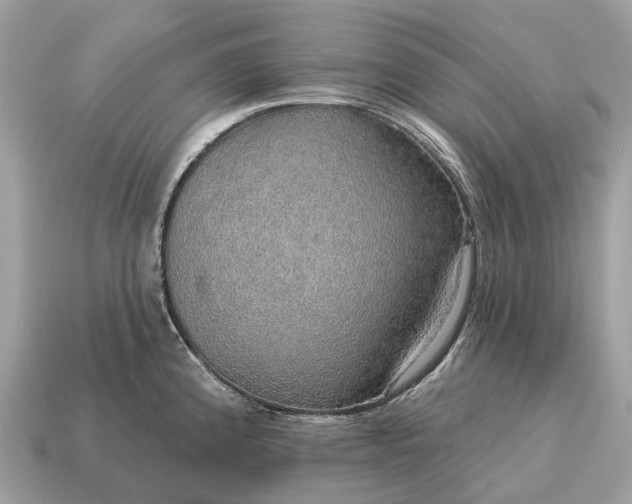X0000115131192200911101640