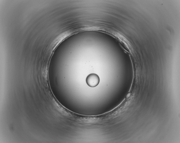 X0000115131193200911101640