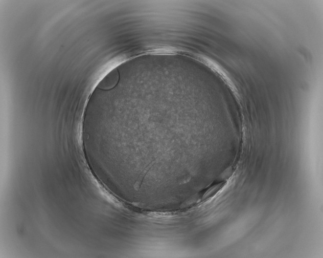 X0000115131194200911101640