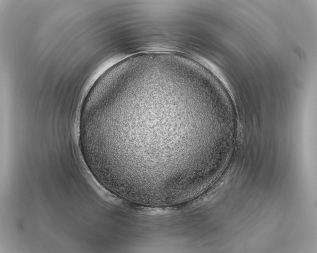 X0000115131195200911101640
