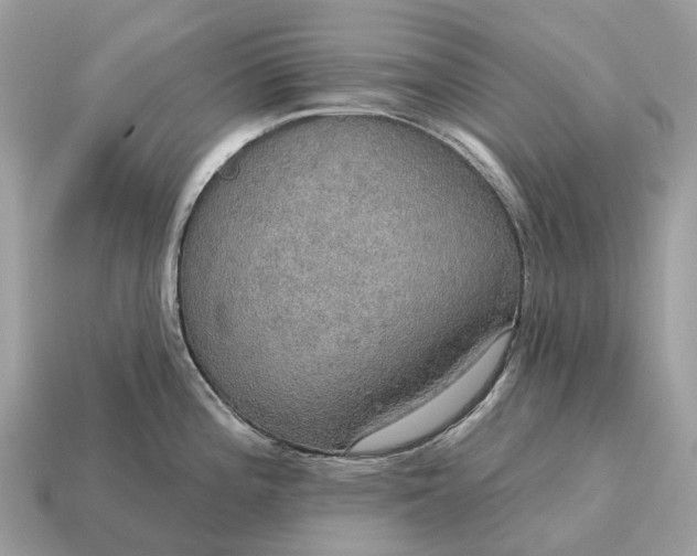 X0000115131196200911101640