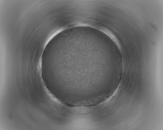 X0000115131198200911101640