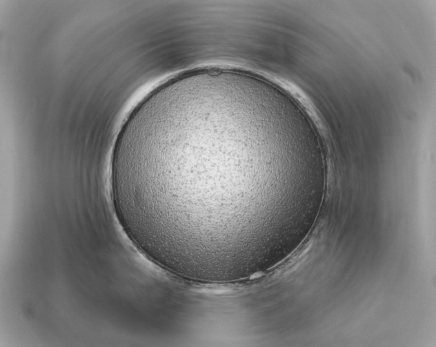 X0000115131199200911101640