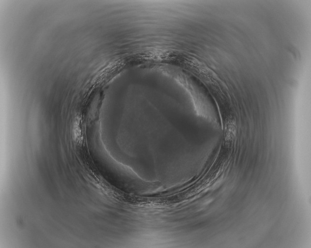 X0000115131202200911101640