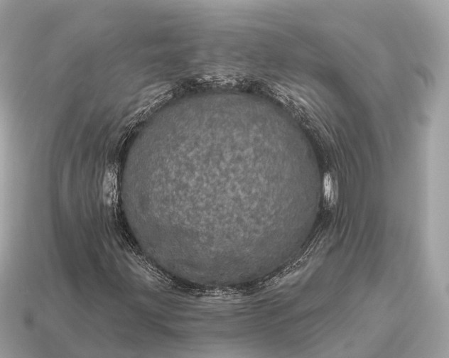 X0000115131203200911101640
