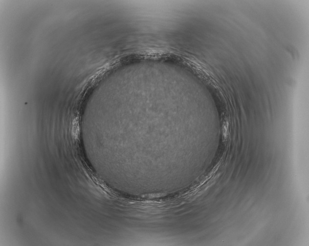 X0000115131204200911101640