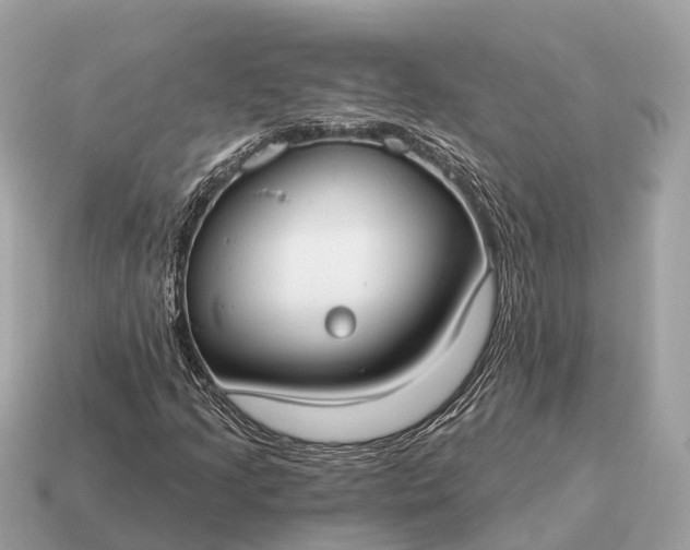 X0000115131205200911101640