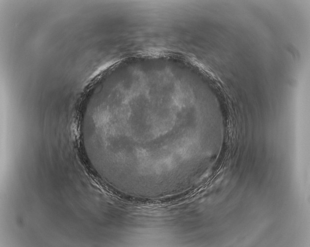 X0000115131206200911101640