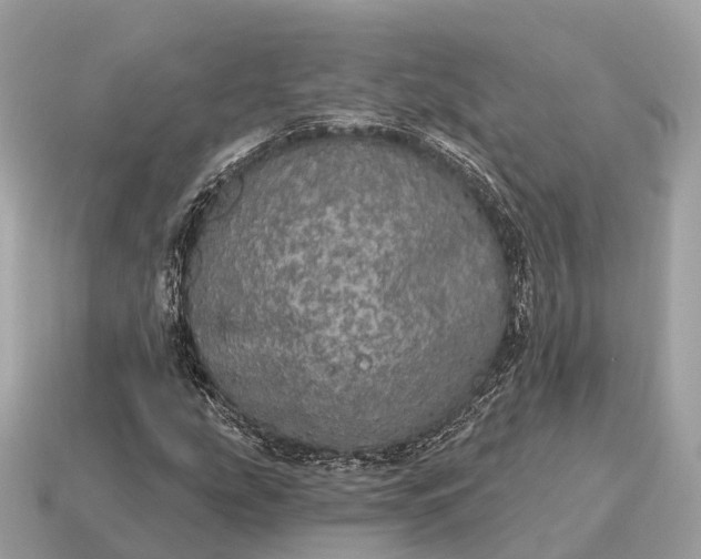 X0000115131207200911101640