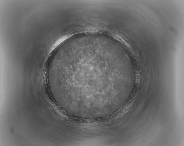 X0000115131208200911101640
