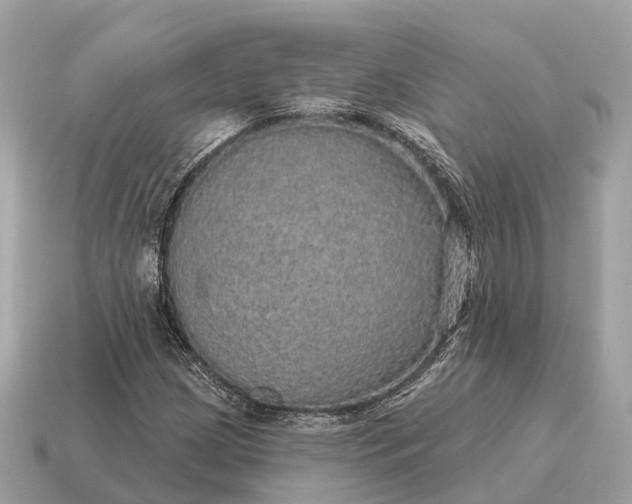 X0000115131209200911101640