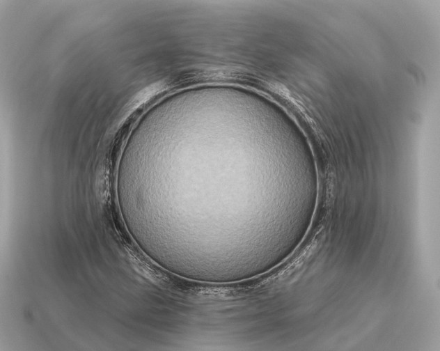 X0000115131211200911101640
