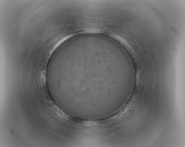 X0000115131212200911101640