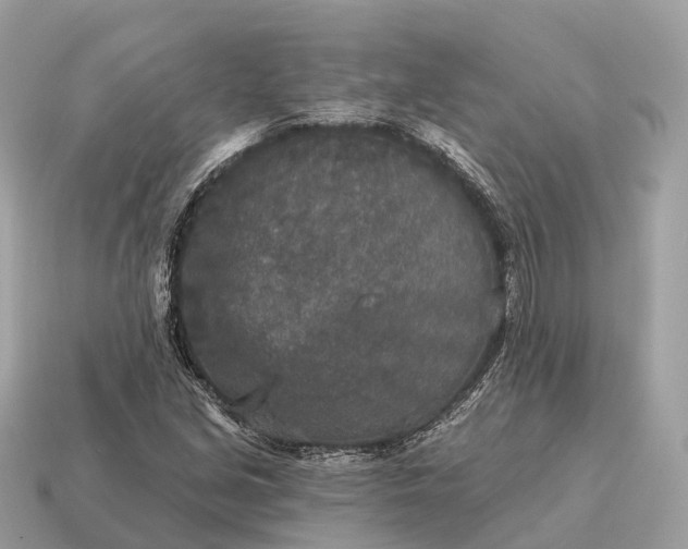 X0000115131213200911101640