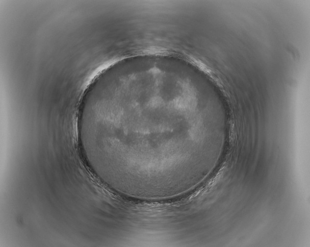 X0000115131214200911101640