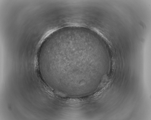 X0000115131215200911101640