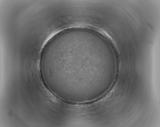 X0000115131216200911101640