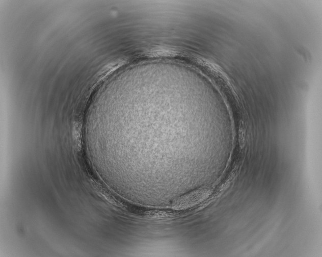 X0000115131217200911101640